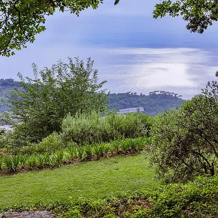 Sea And Valley By Wonderful Italy * Camogli